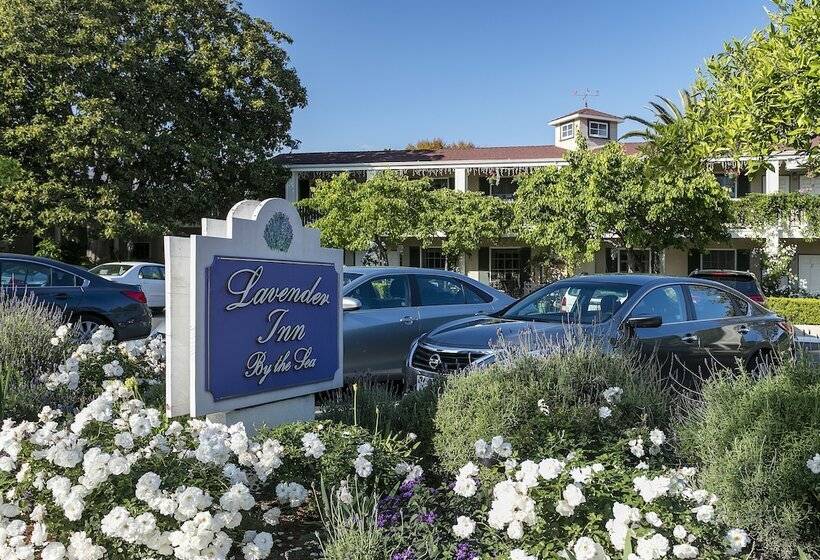 فندق Lavender Inn By The Sea