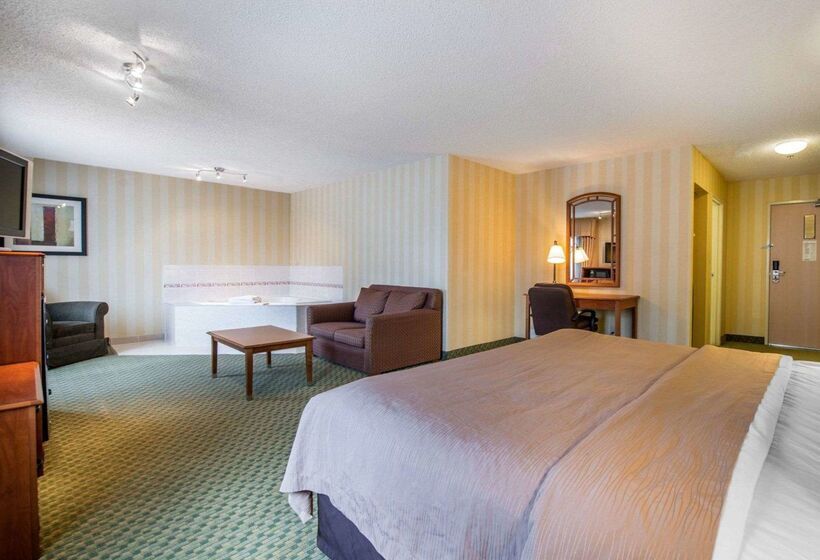 Отель Quality Inn Airport