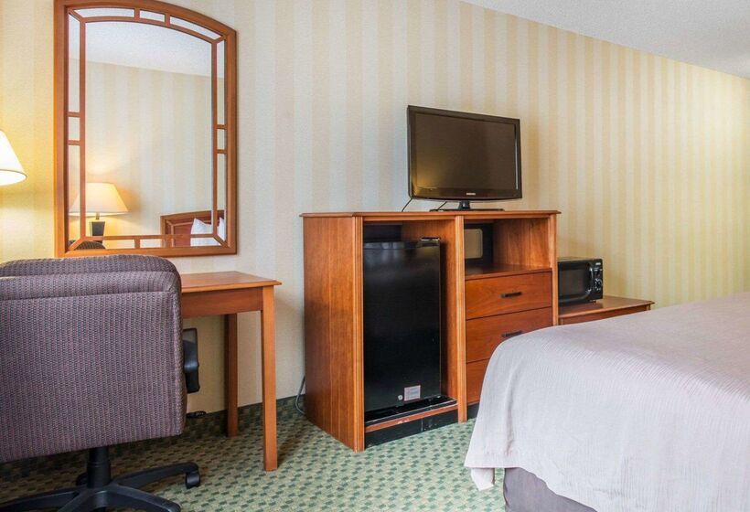 Отель Quality Inn Airport