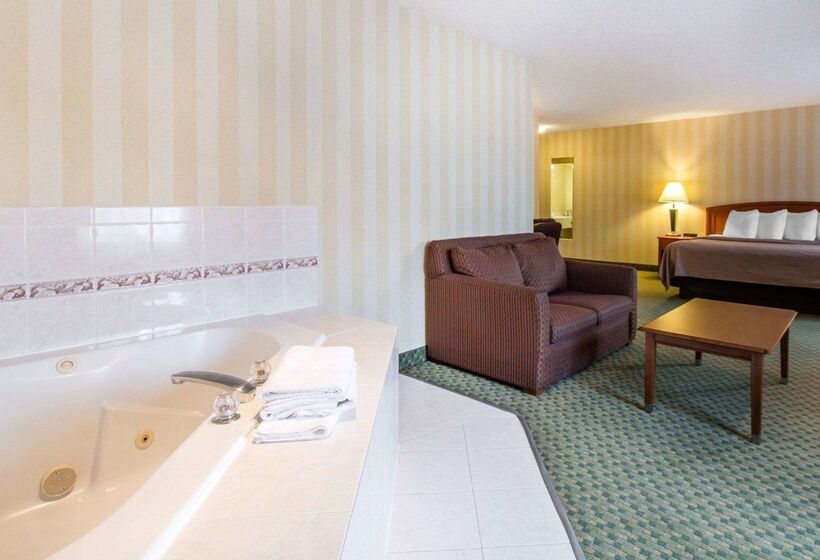 Отель Quality Inn Airport