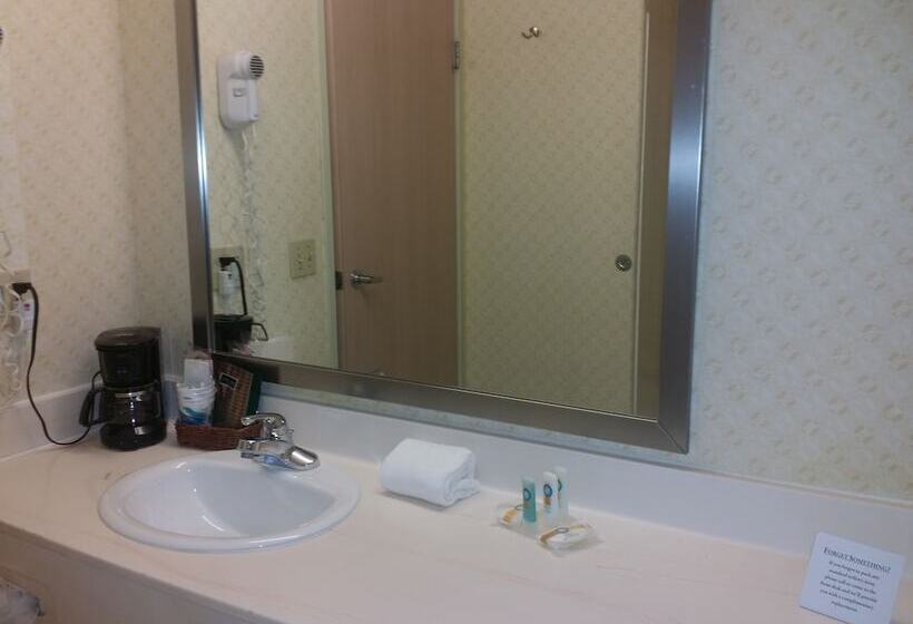 Отель Quality Inn Airport