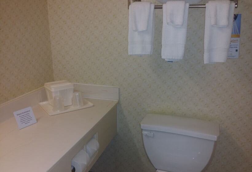 Отель Quality Inn Airport