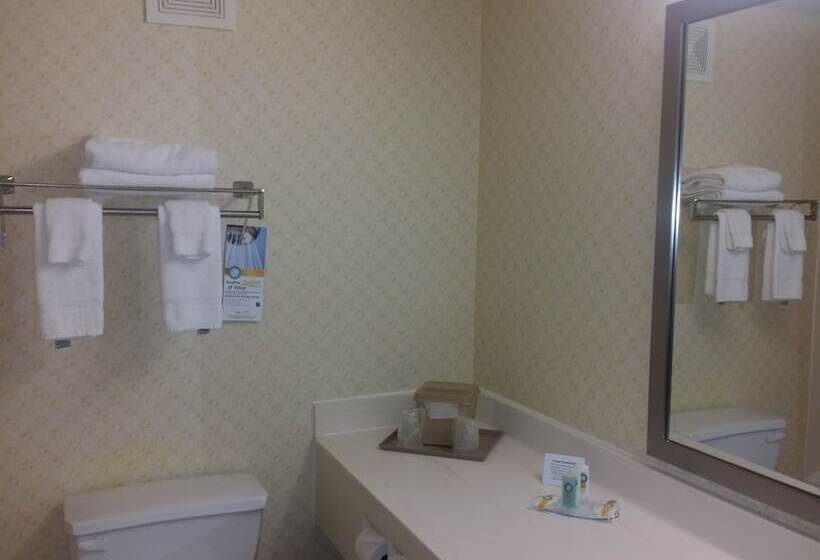 Отель Quality Inn Airport