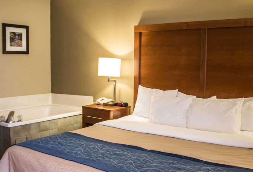 ホテル Quality Inn