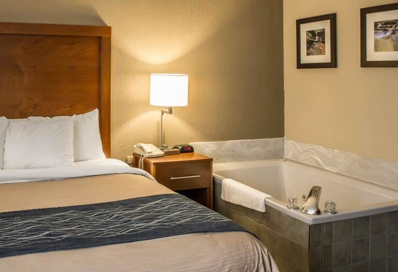 ホテル Quality Inn