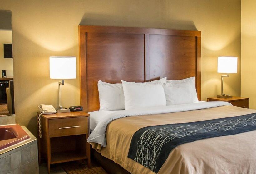 ホテル Quality Inn