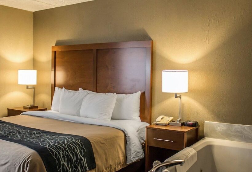 ホテル Quality Inn