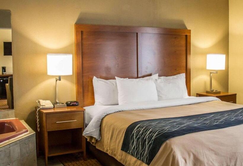 ホテル Quality Inn