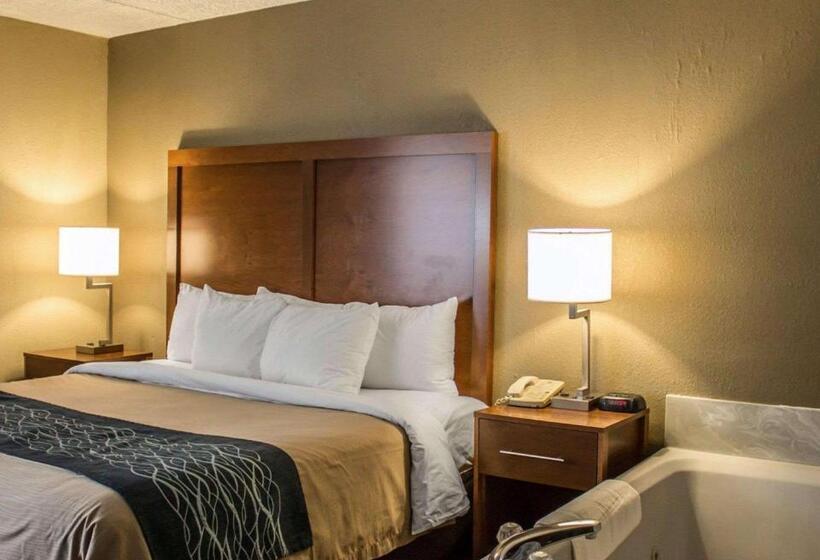 ホテル Quality Inn