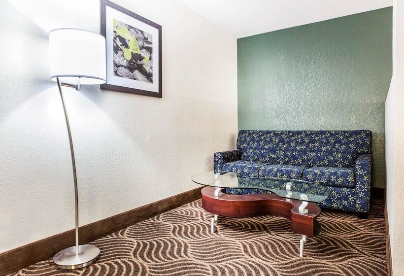 בית מלון כפרי Quality Inn Black Mountain Asheville East