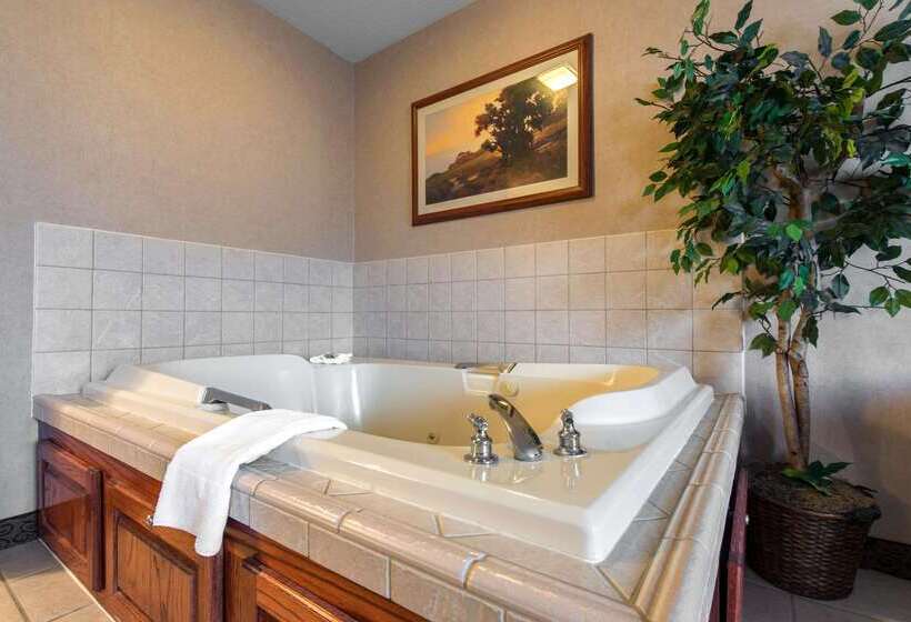 فندق Quality Inn