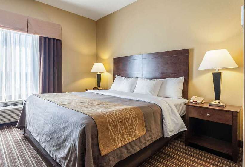 فندق Quality Inn