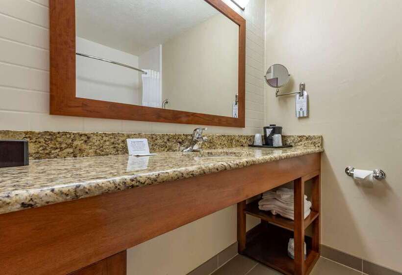 Отель Quality Inn