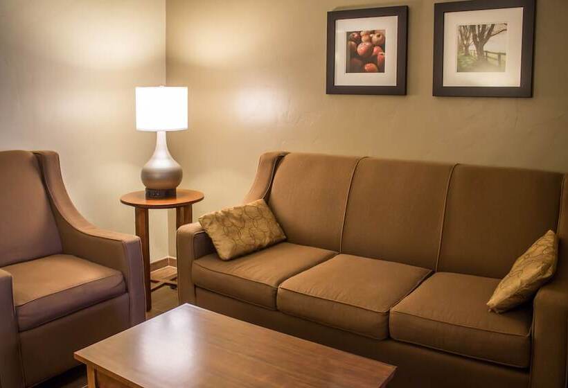 Отель Quality Inn