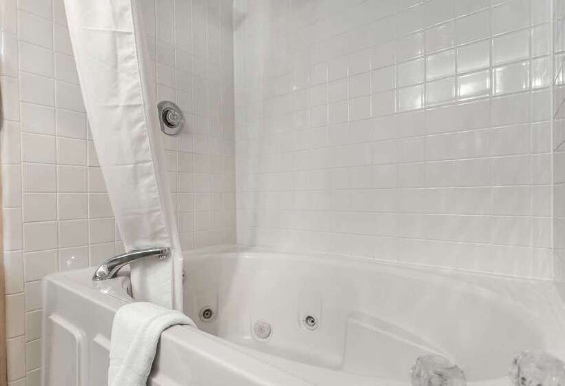 Отель Quality Inn