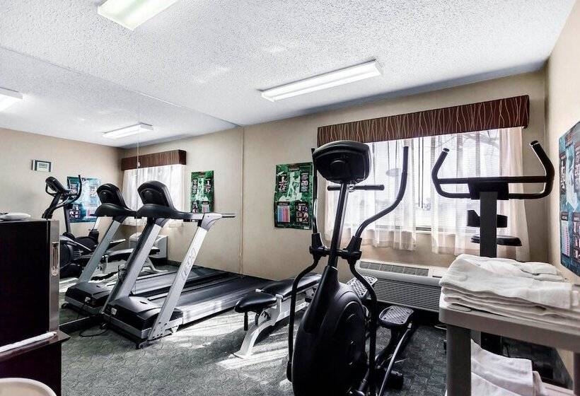 Отель Quality Inn