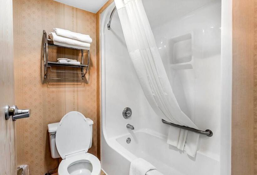 Отель Quality Inn