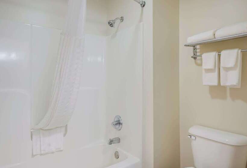 فندق Quality Inn