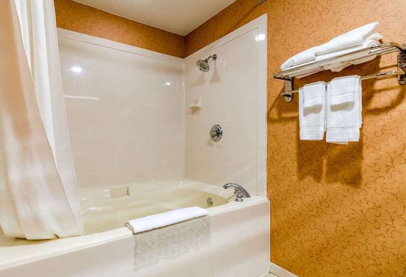 فندق Quality Inn Eureka Springs South
