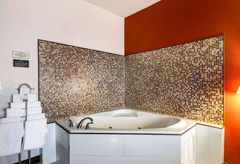 酒店 Quality Inn Kingsville Hwy 77