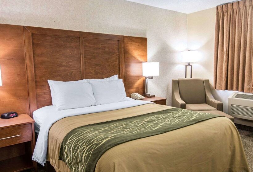 فندق Quality Inn