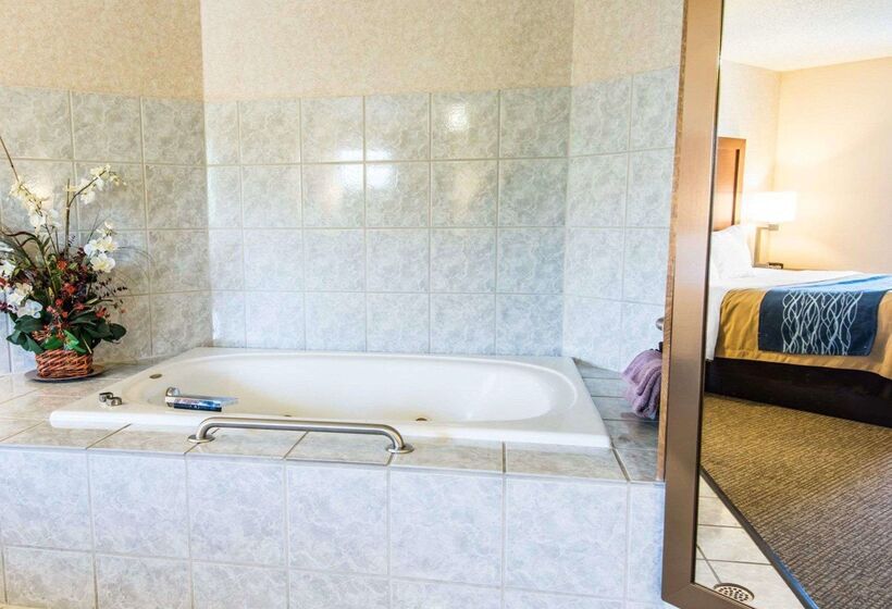 فندق Quality Inn