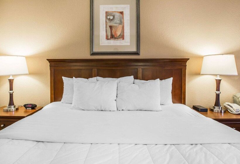 فندق Quality Inn & Suites