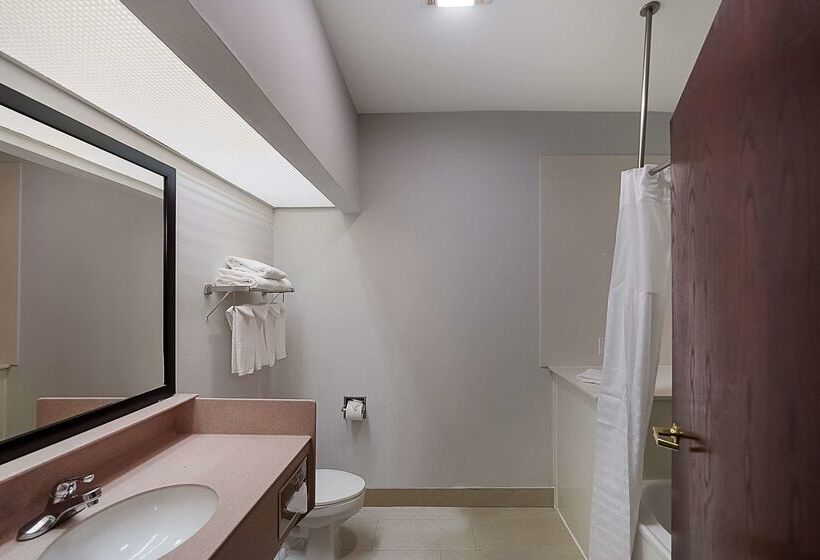 هتل Quality Inn & Suites Dfw Airport South