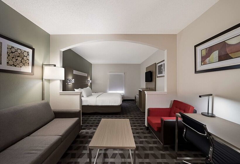 هتل Quality Inn & Suites Dfw Airport South