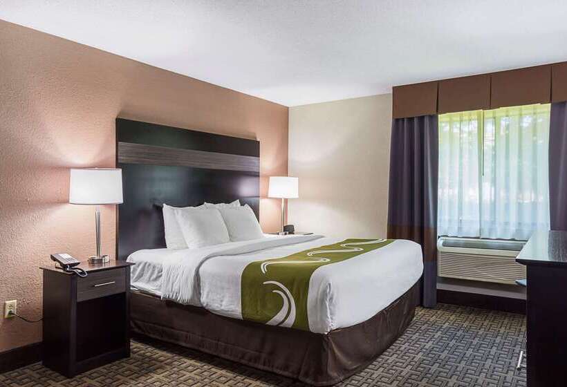 ホテル Quality Inn & Suites