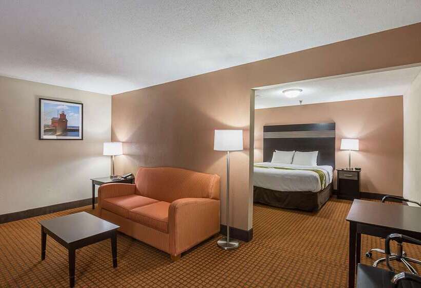 ホテル Quality Inn & Suites