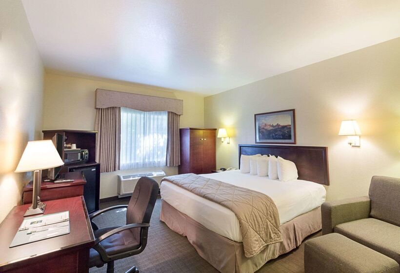 فندق Quality Inn & Suites