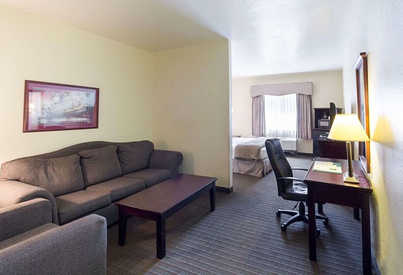 فندق Quality Inn & Suites