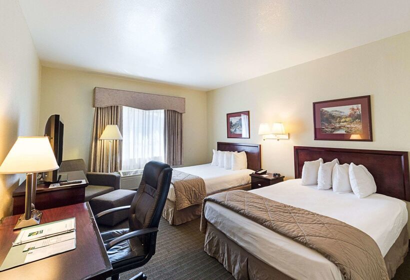 فندق Quality Inn & Suites
