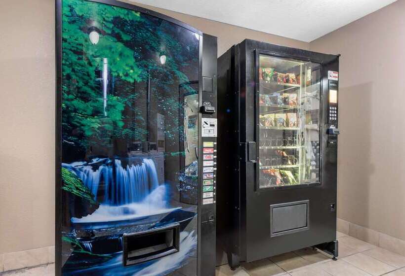 בית מלון כפרי Quality Inn & Suites Lebanon I65