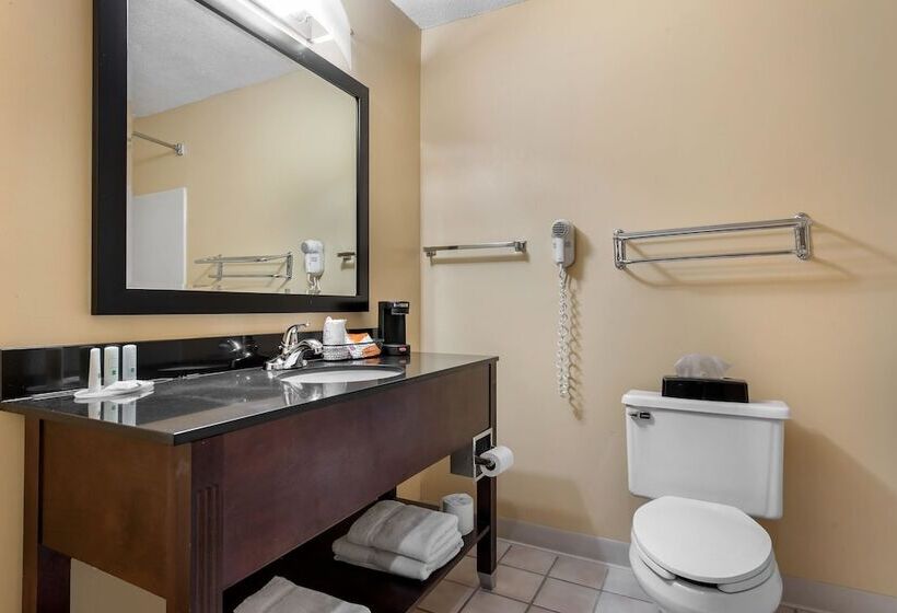 בית מלון כפרי Quality Inn & Suites Lebanon I65