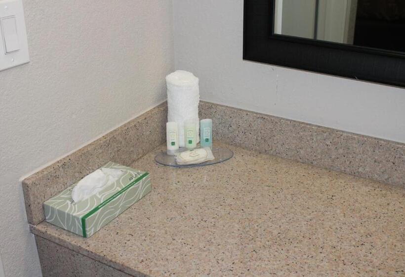 Отель Quality Inn & Suites Port Arthur  Nederland