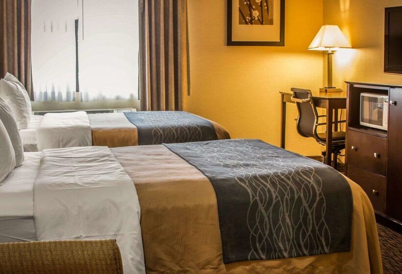 Отель Quality Inn & Suites