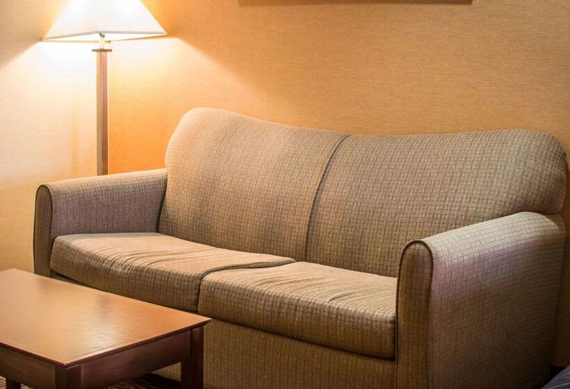 Отель Quality Inn & Suites