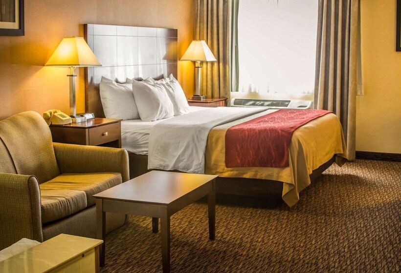 Отель Quality Inn & Suites
