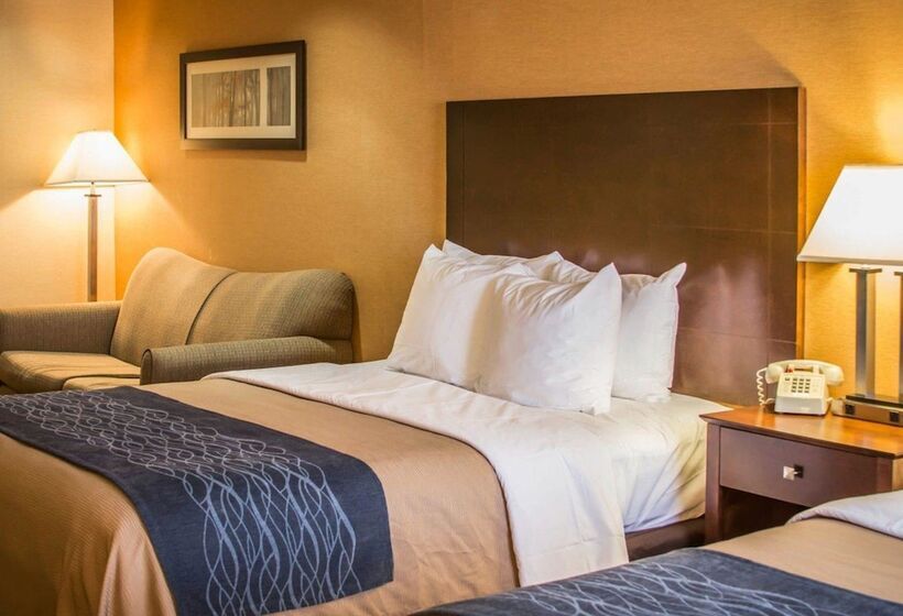 Отель Quality Inn & Suites
