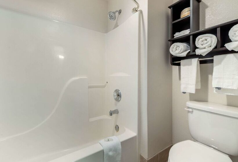 فندق Quality Inn & Suites