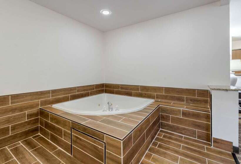 فندق Quality Inn & Suites