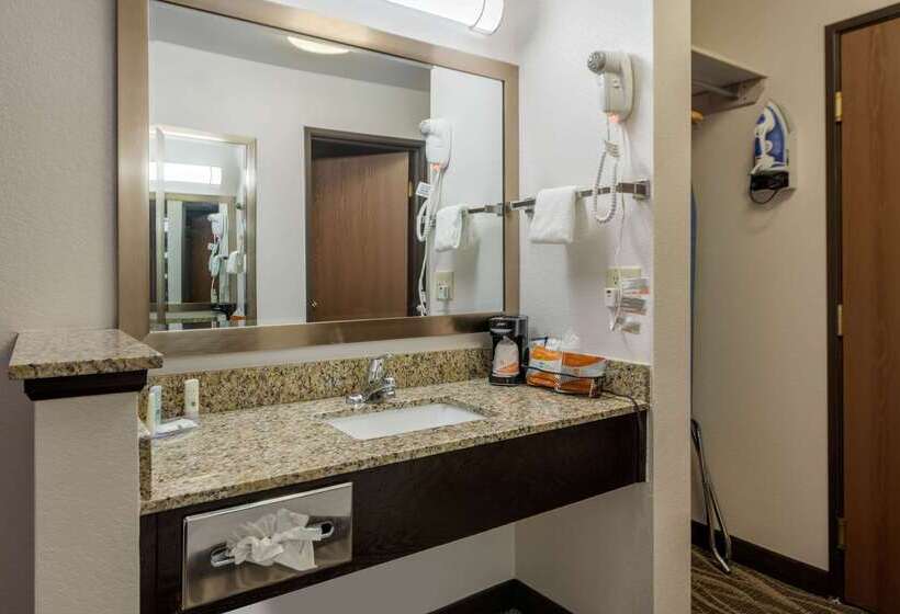 فندق Quality Inn & Suites