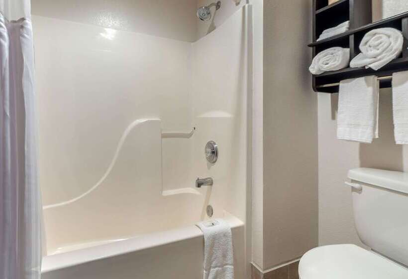 فندق Quality Inn & Suites