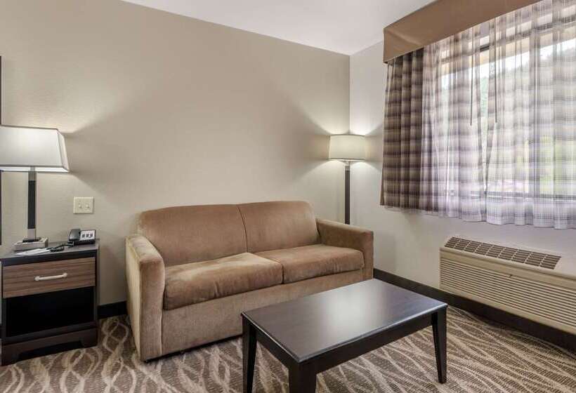فندق Quality Inn & Suites