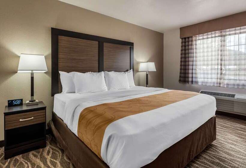 فندق Quality Inn & Suites