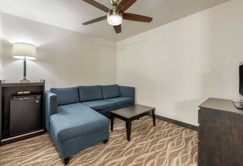 فندق Quality Inn & Suites