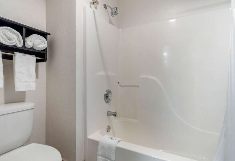 فندق Quality Inn & Suites