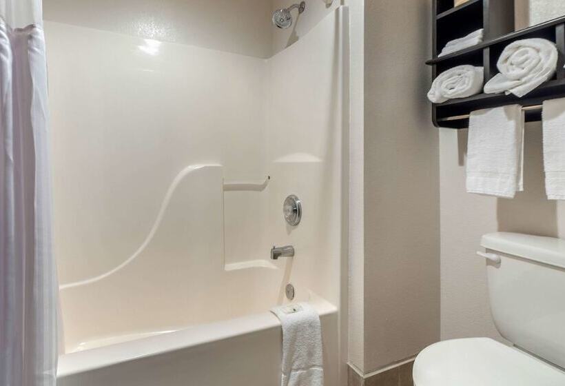 فندق Quality Inn & Suites